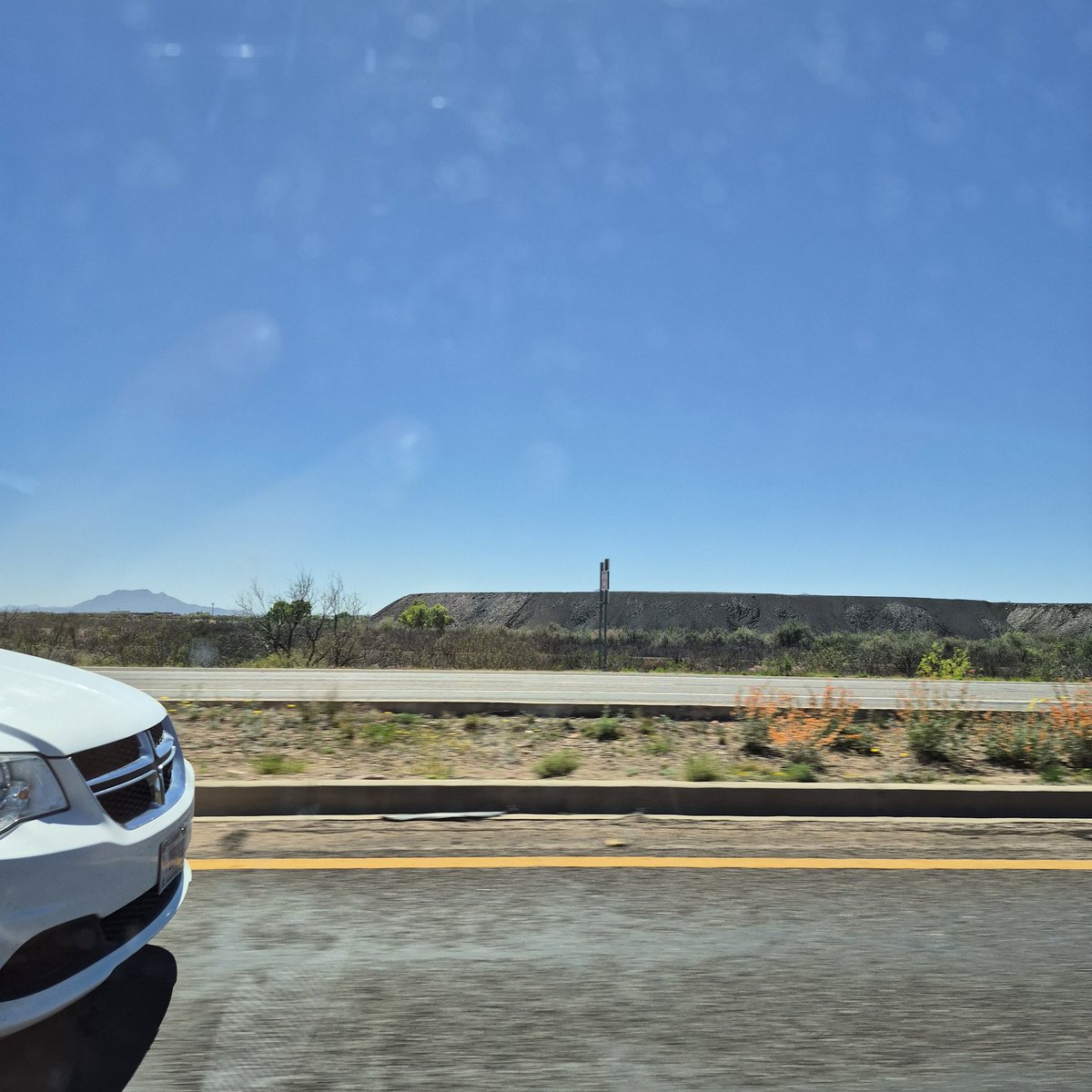 Paco - パコさん tweet media