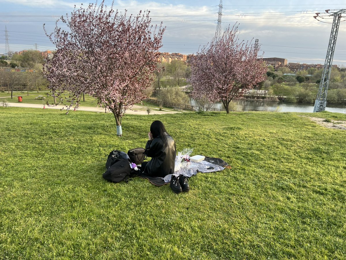 Pchill 🦧 tweet media