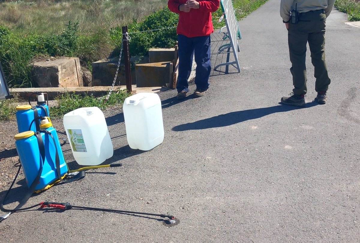 Agente Ahumado. tweet media