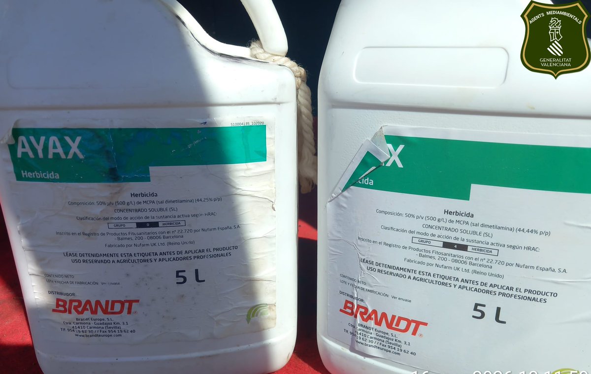 Agente Ahumado. tweet media