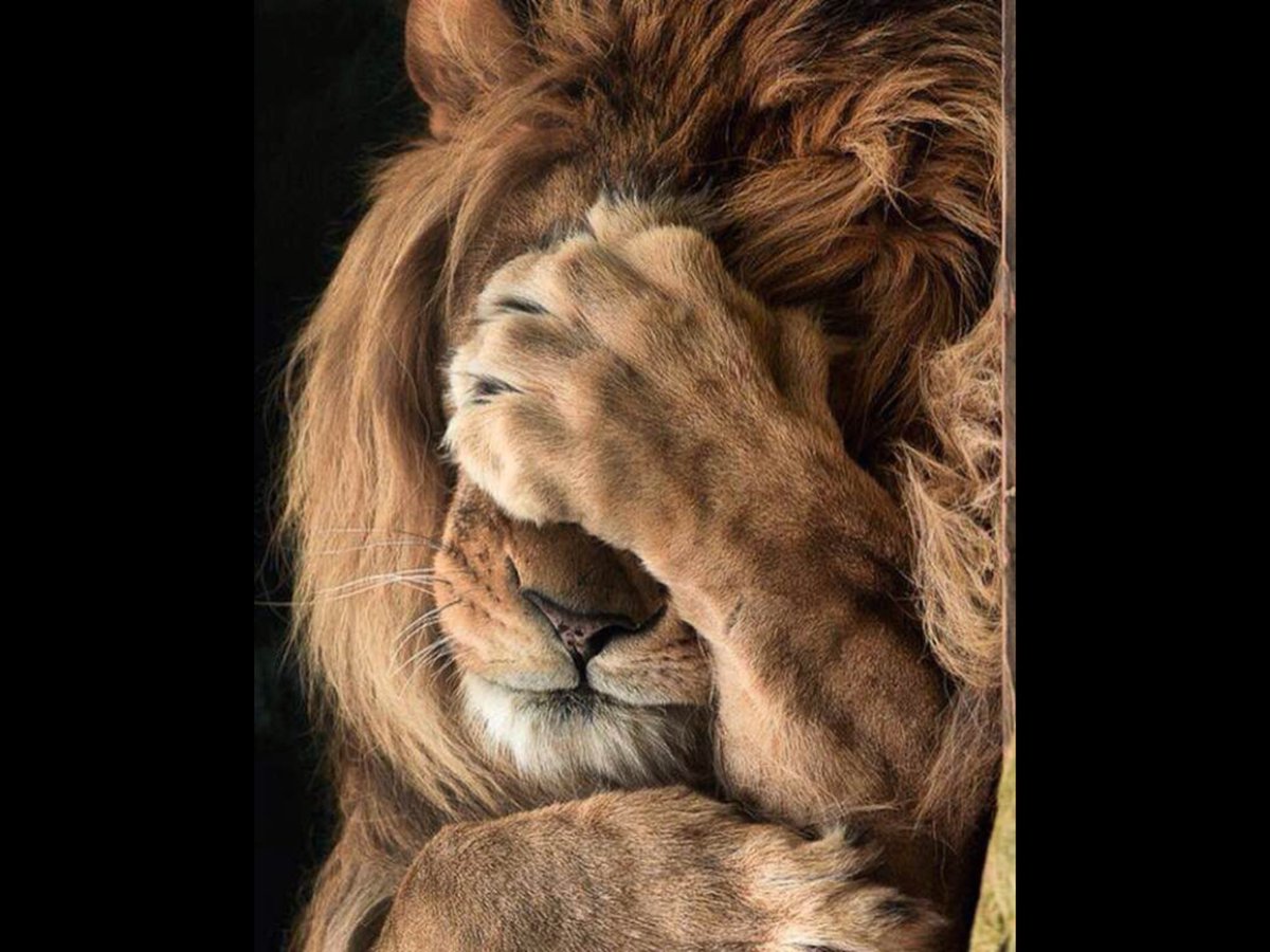 petimiti's tweet photo. Madame #Arnaud s’excuse …. #Mandieu https://t.co/1xDKa9rhCg
