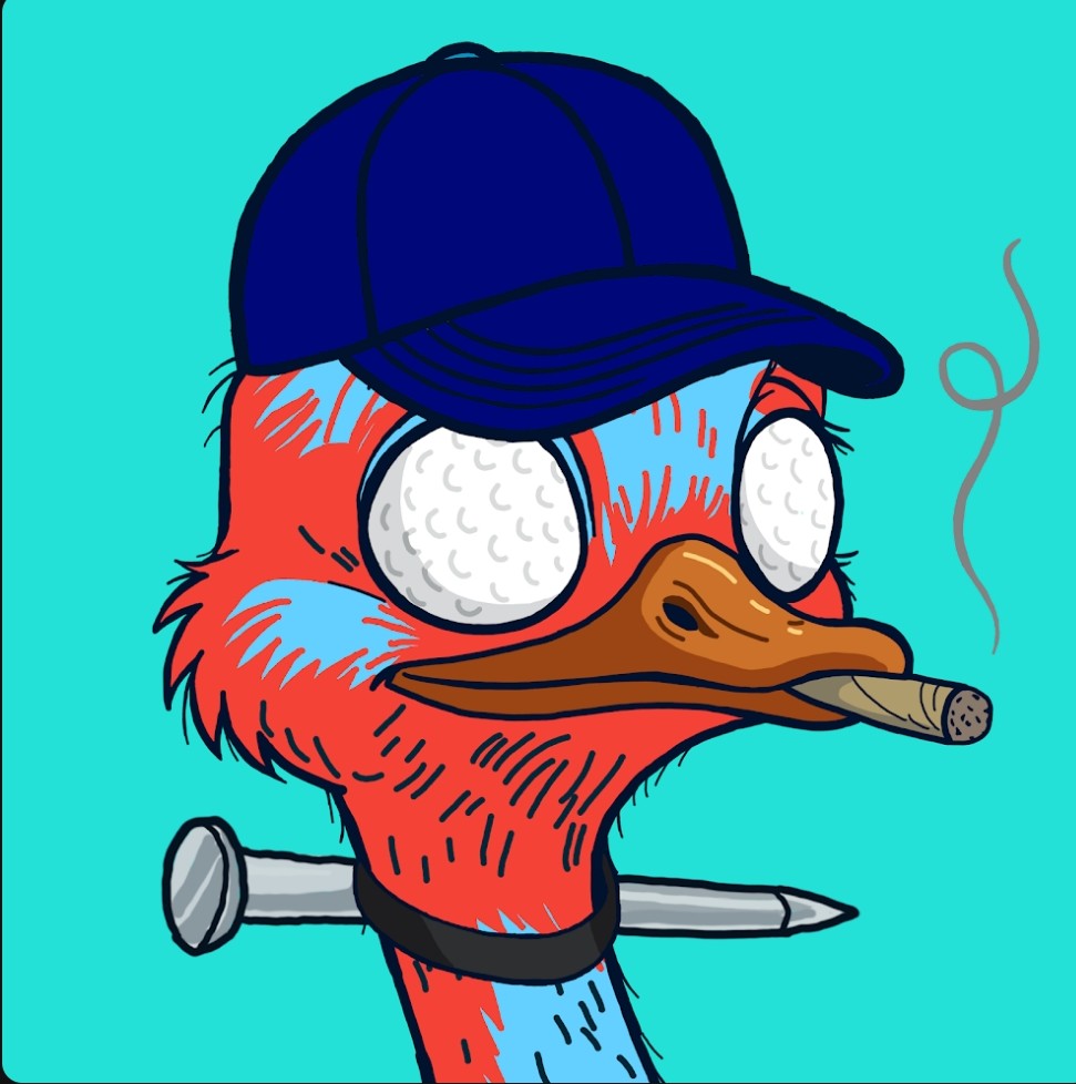 NOSLEEP 🧩 tweet media