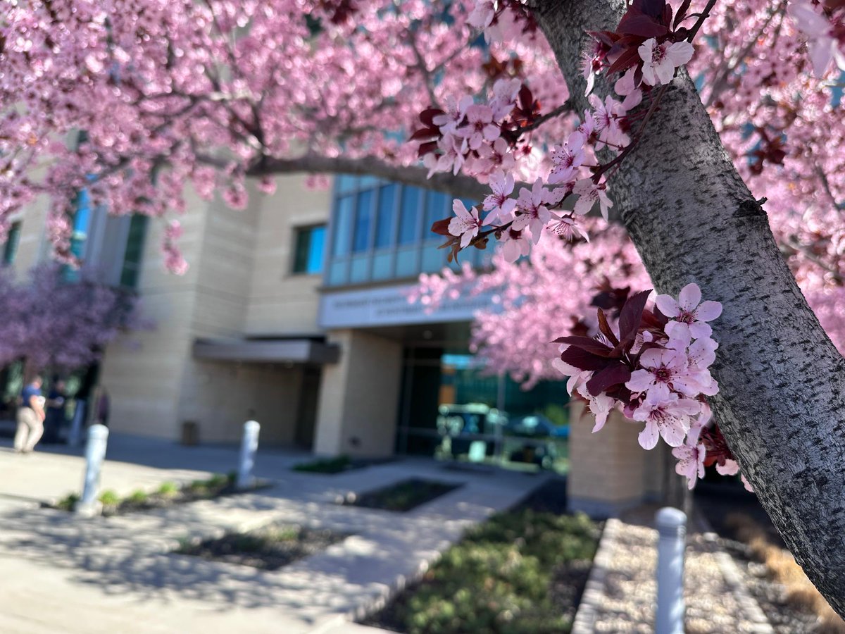 Huntsman Cancer Institute tweet media