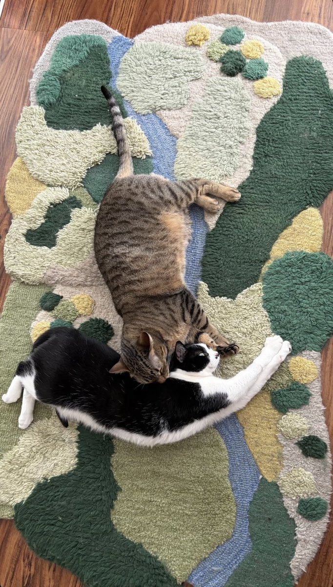 Courtney Miller Updates tweet media