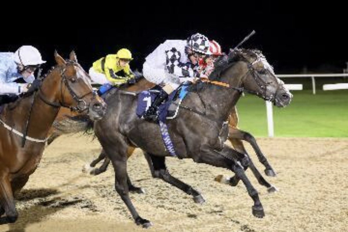 Richardlewisevans tweet media