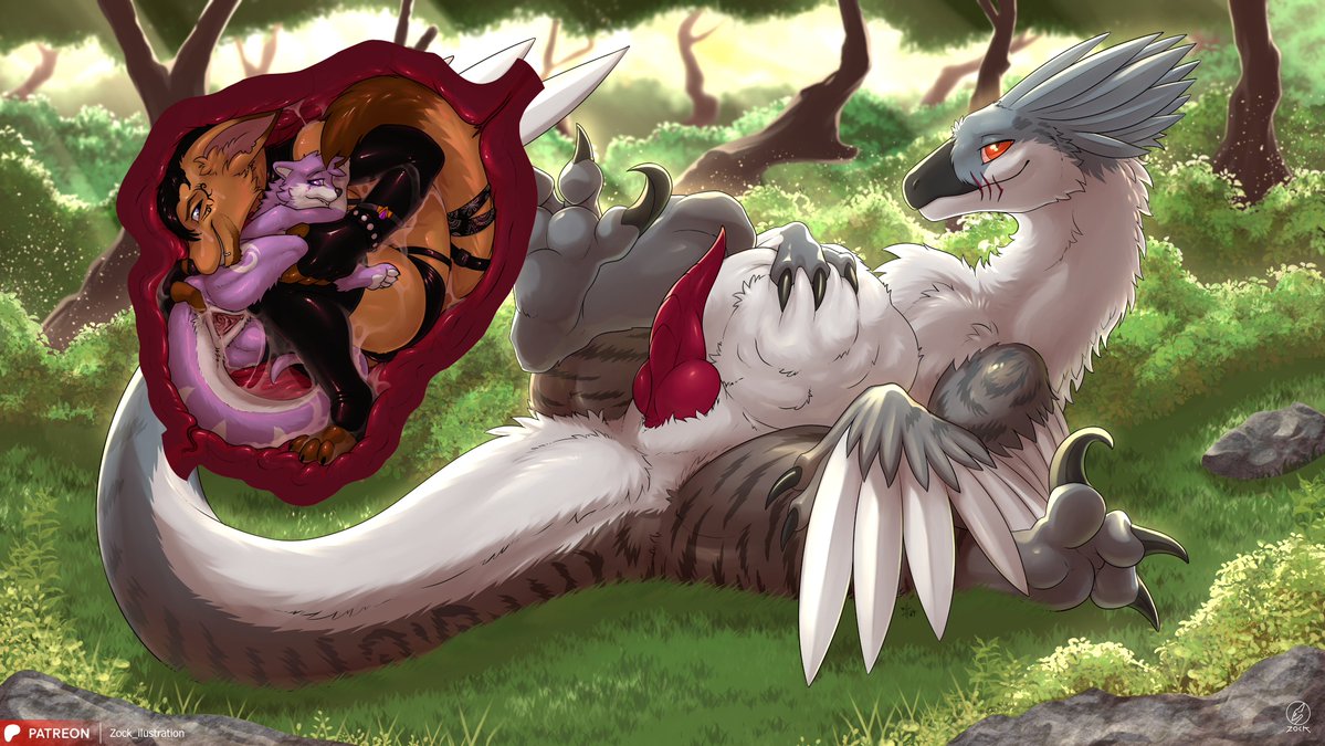 Zock 🔞 tweet media