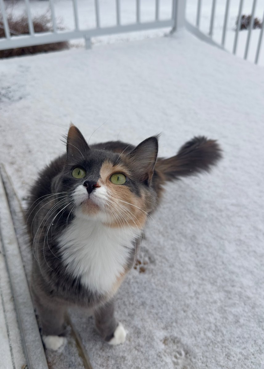 s (@sara2013far) on Twitter photo 