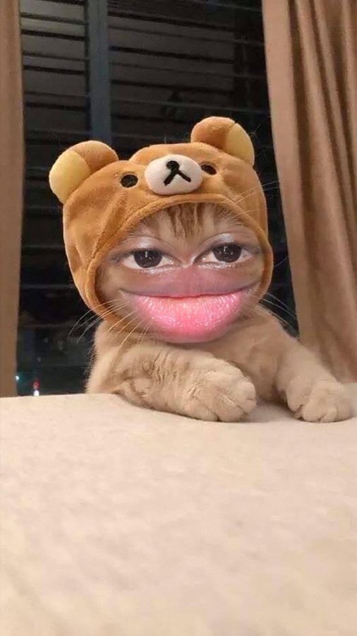 Evaristus tweet media