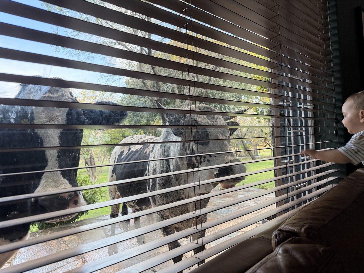 Jacques Pretorius tweet media