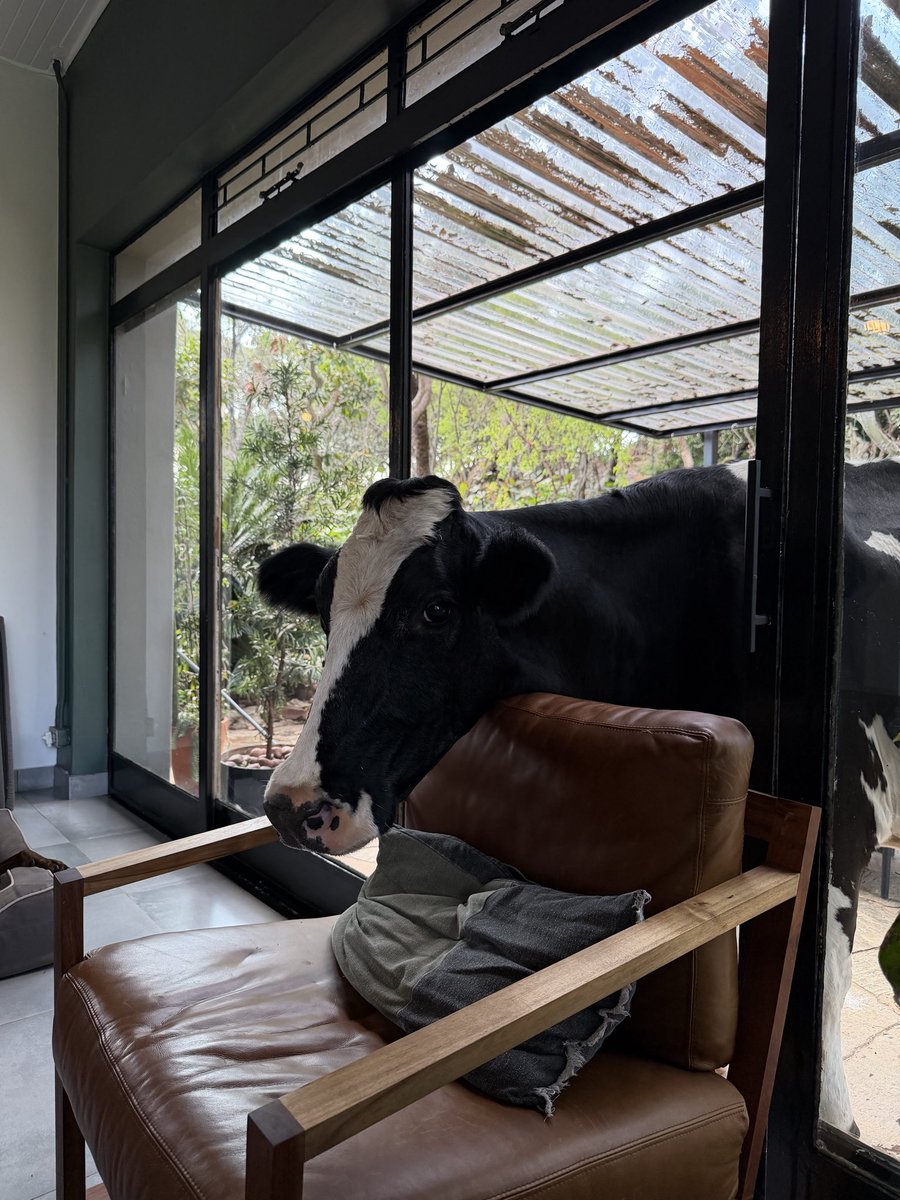 Jacques Pretorius tweet media