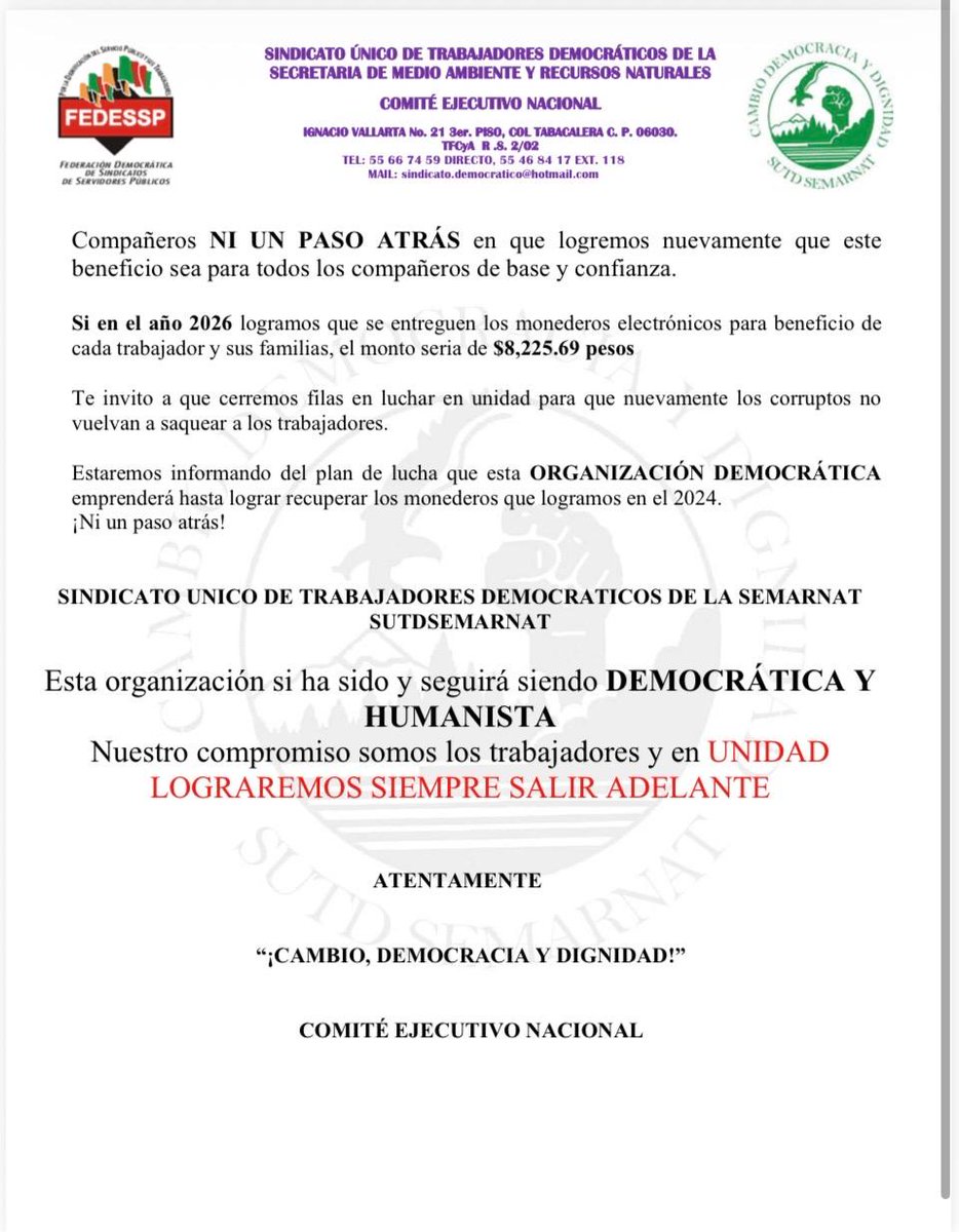 Jorge Estrada tweet media