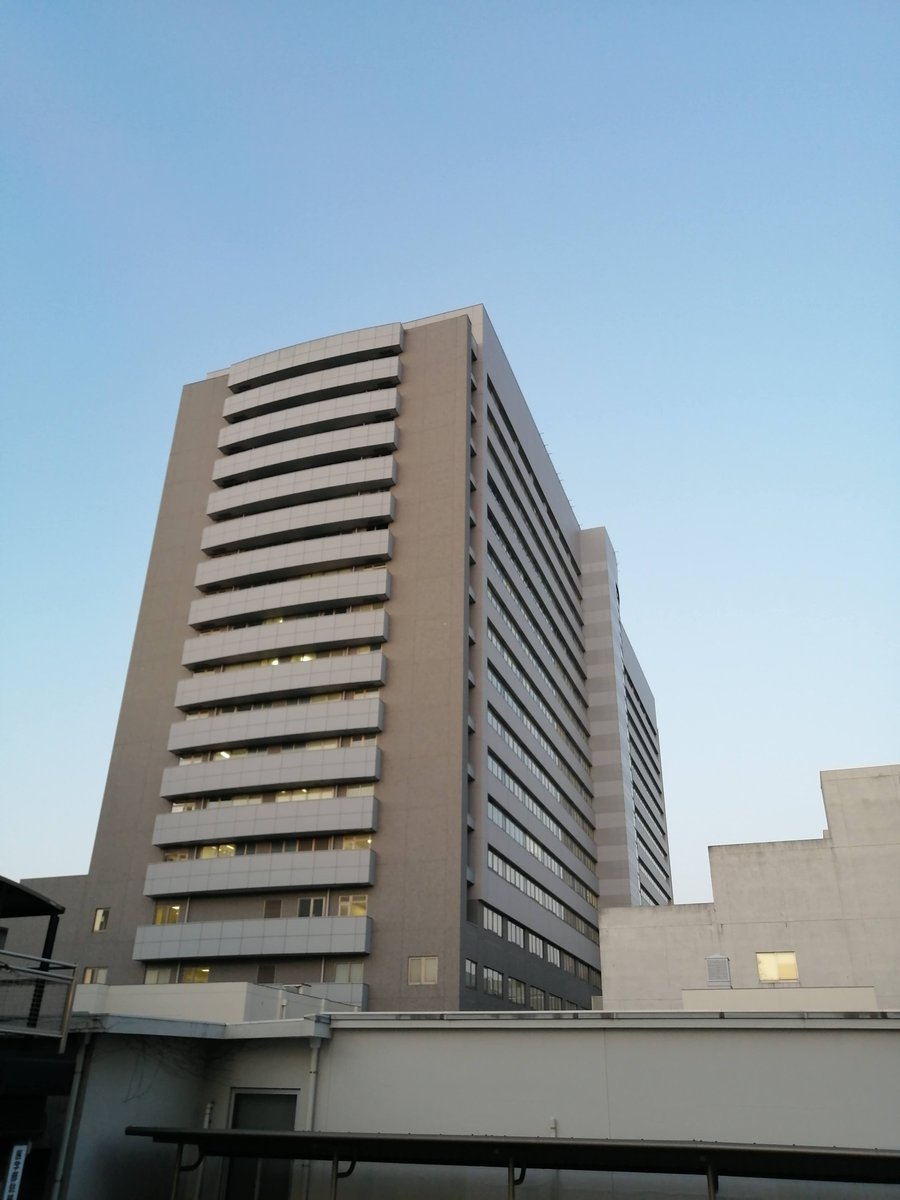 Yaguchi.H tweet media