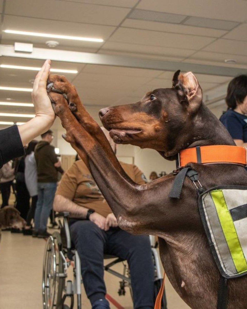 Euromaidan Press tweet media