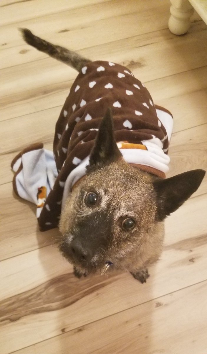 🌎✈ 𝓦𝓲𝓷𝓭𝓸𝔀 𝓢𝓮𝓪𝓽 ✈ 🌎 tweet media