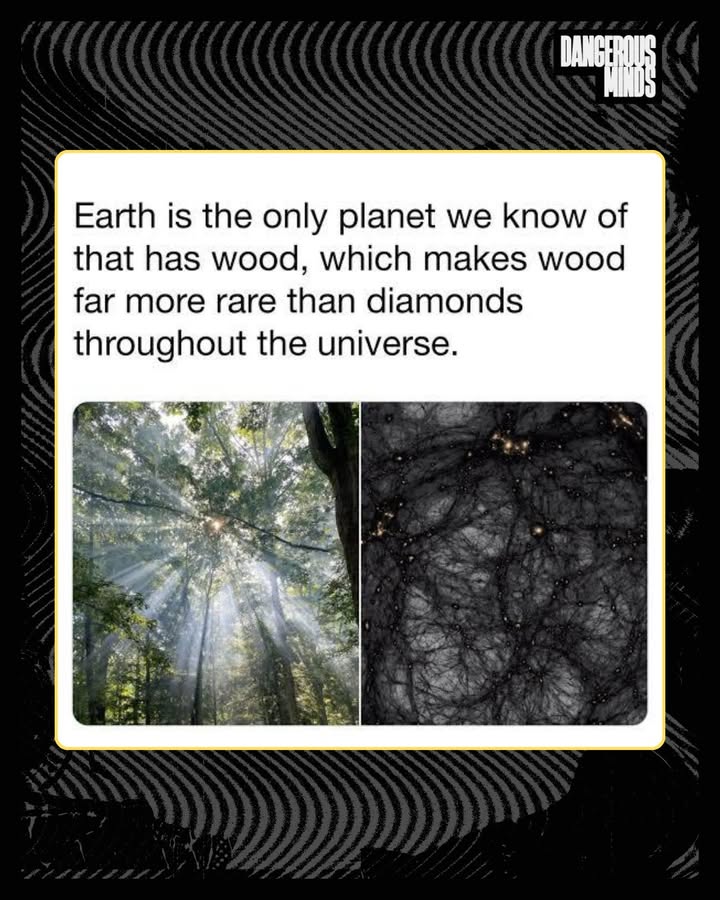 Dangerous Minds tweet media