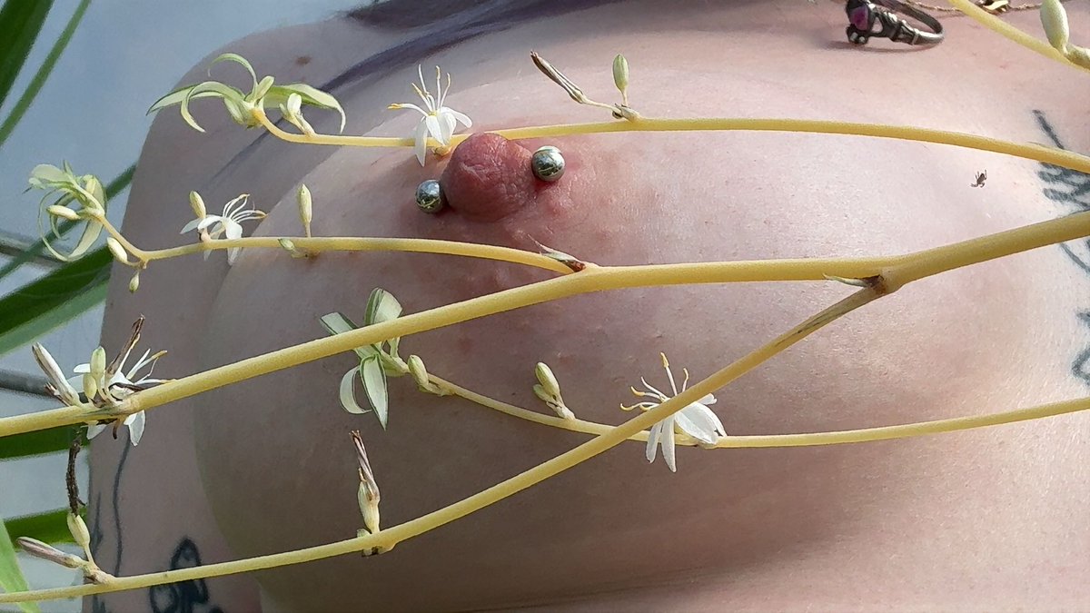 raven sky 𓆩⟡𓆪 tweet media