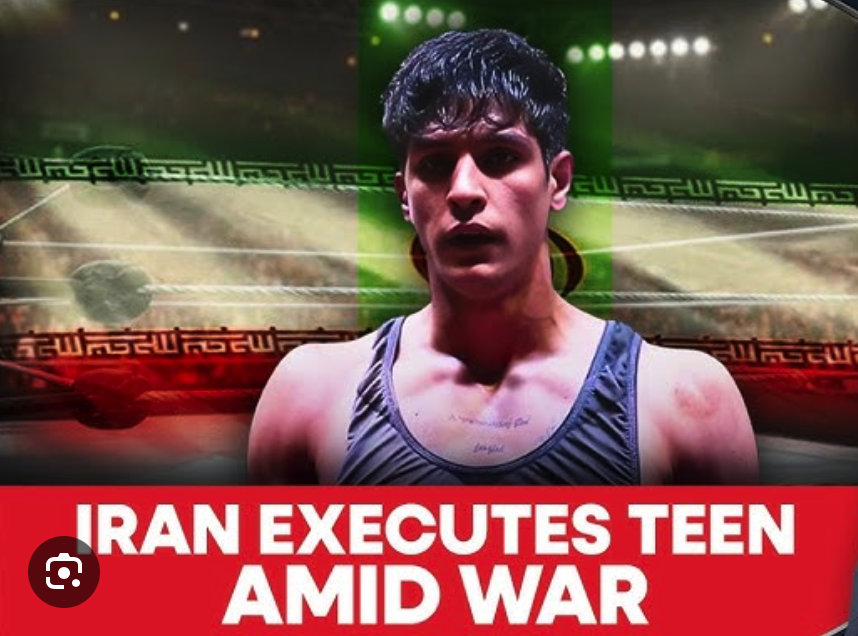 Montane Messenger Missoula Montana Western Divide tweet media