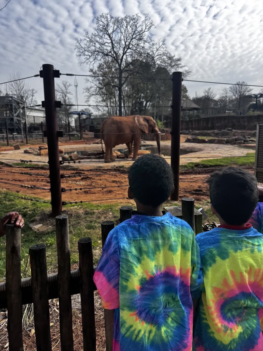 Caitlin Sabers tweet media