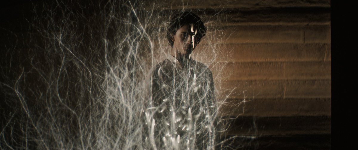 TheDividedGod tweet media