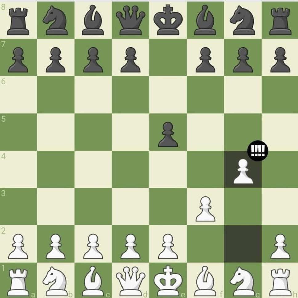 Chess Feed tweet media