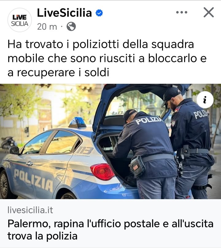 ciancianella tweet media