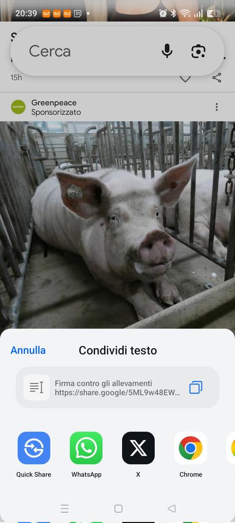 Firma contro gli allevamenti share.google/5ML9w48EW0k53v…