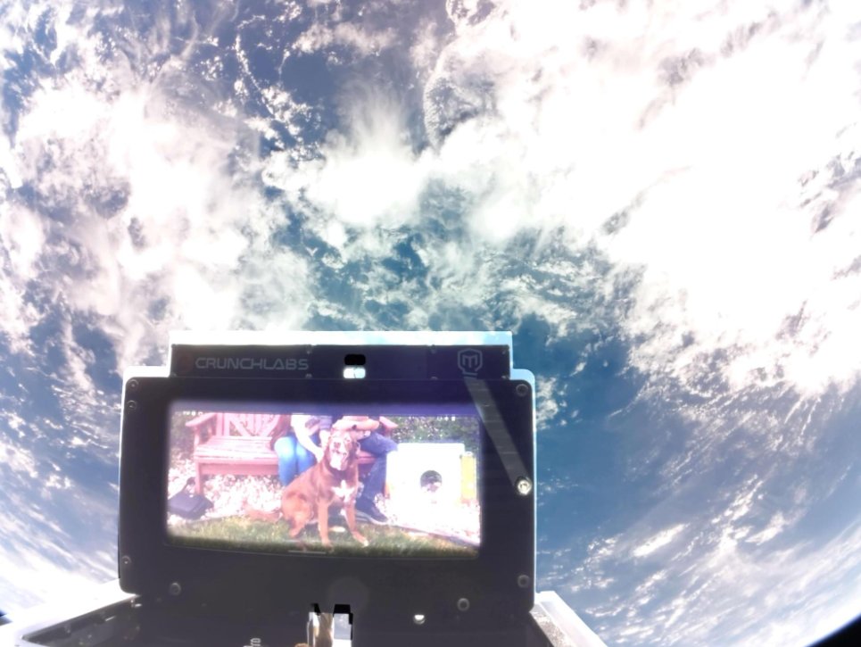 You Can't Vote Shame Me 🌹 🌒🌕🌘 tweet media