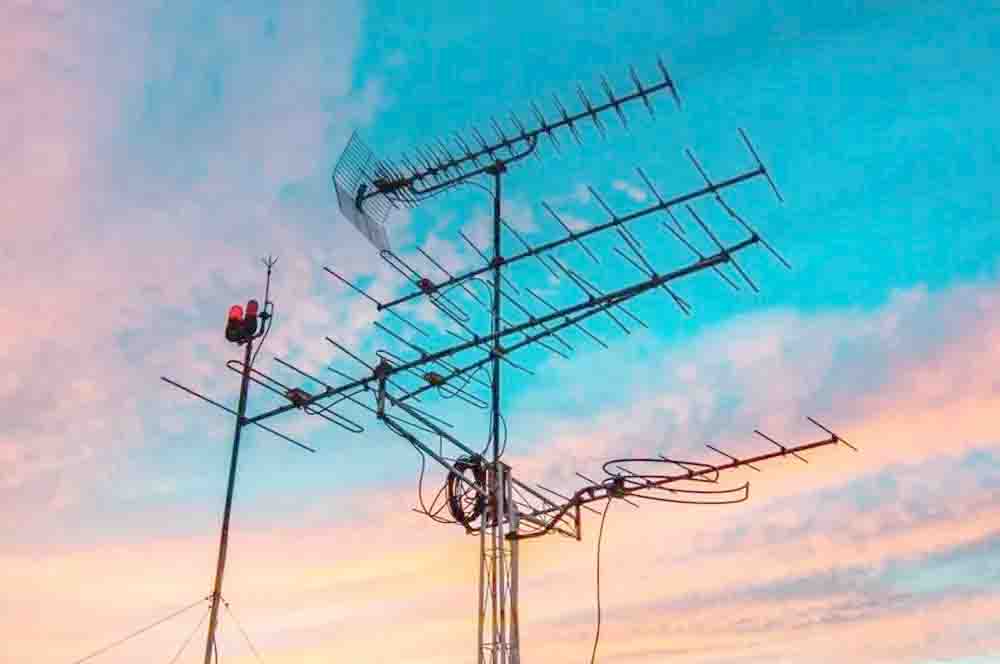 GuadalajaraDiario tweet media