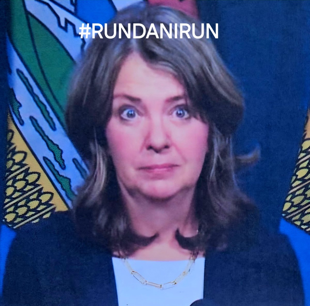 Diane 🇨🇦🏳️🌈🏳️⚧️🇺🇦 tweet media