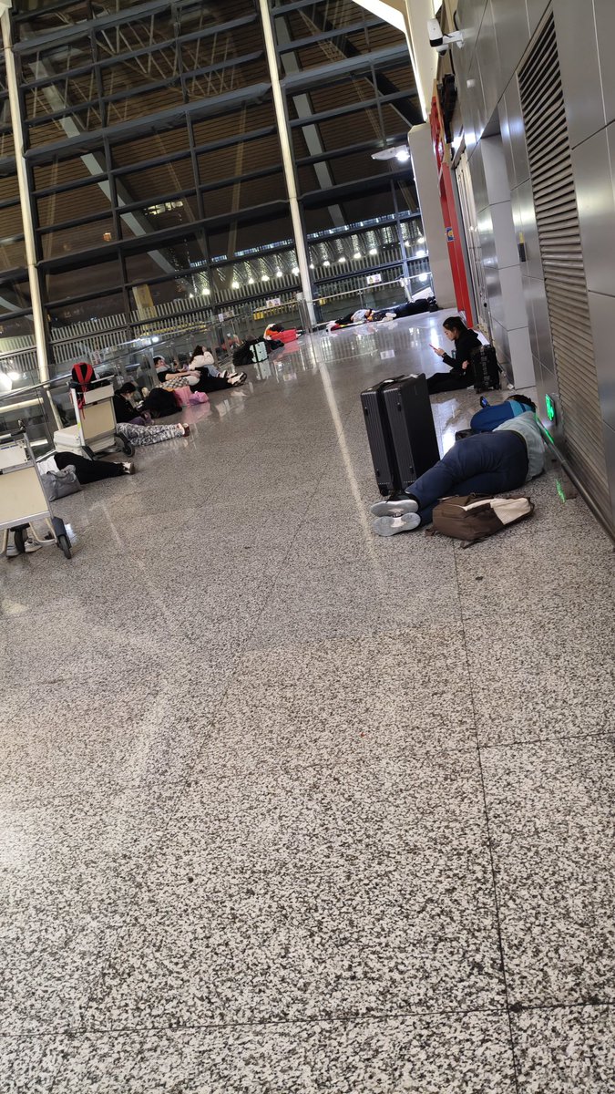 白玊玉（防走丢人格） tweet media