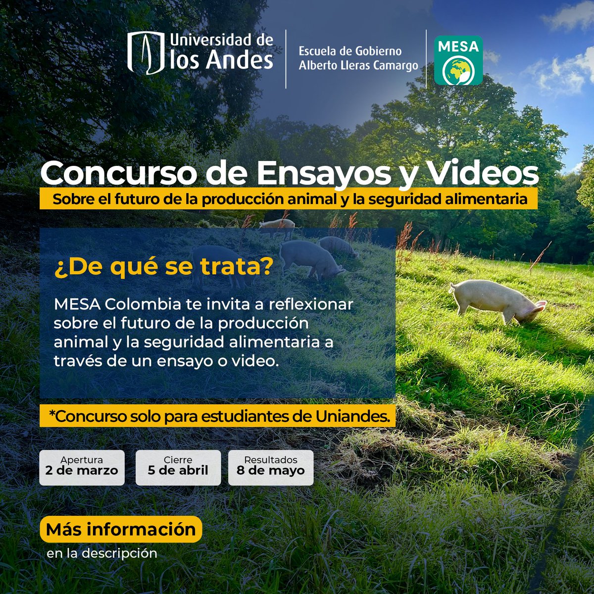 Escuela de Gobierno de la Universidad de los Andes tweet media