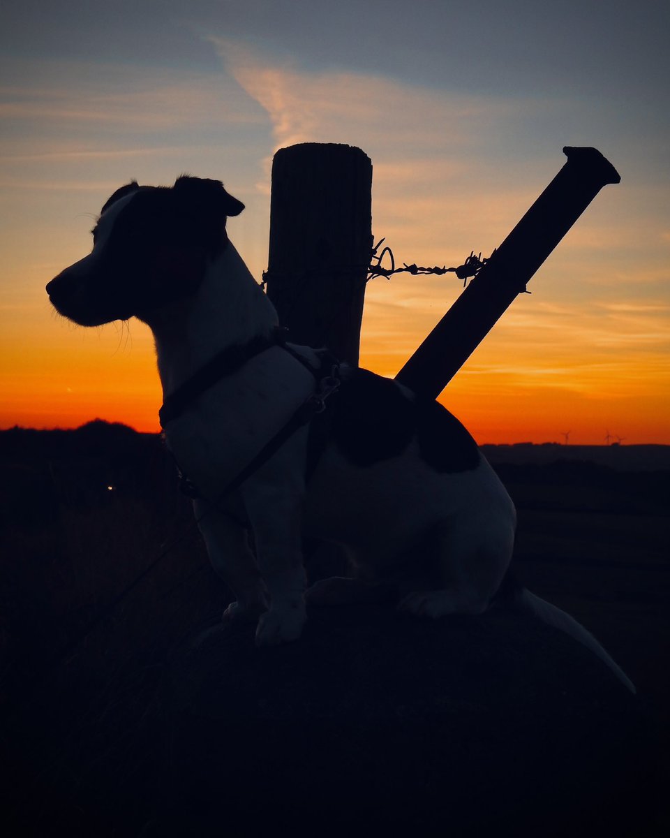 Aled Hall 🏴󠁧󠁢󠁷󠁬󠁳󠁿 tweet media