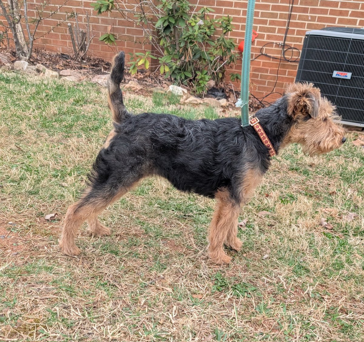 Patrick Hubbard tweet media