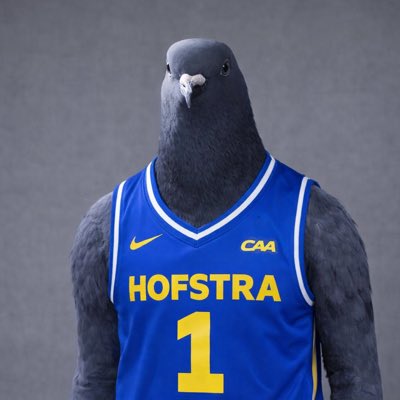 NYJ Brick 🧱 tweet media