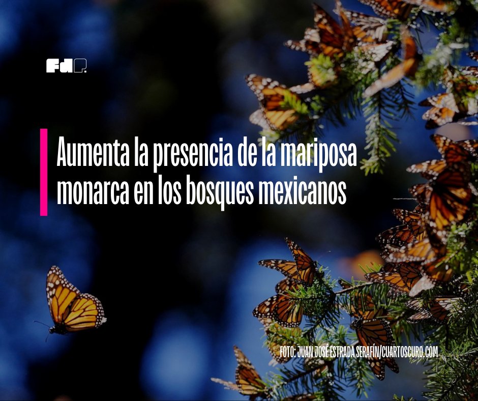 Fábrica de Periodismo tweet media