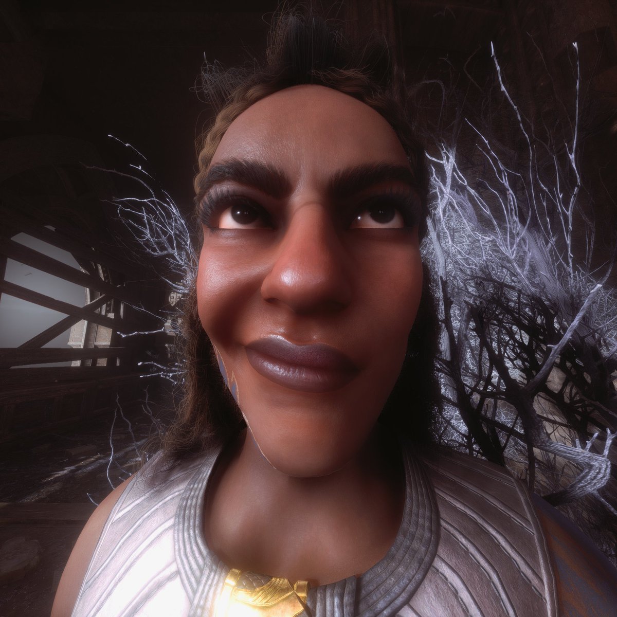 Primnose tweet media