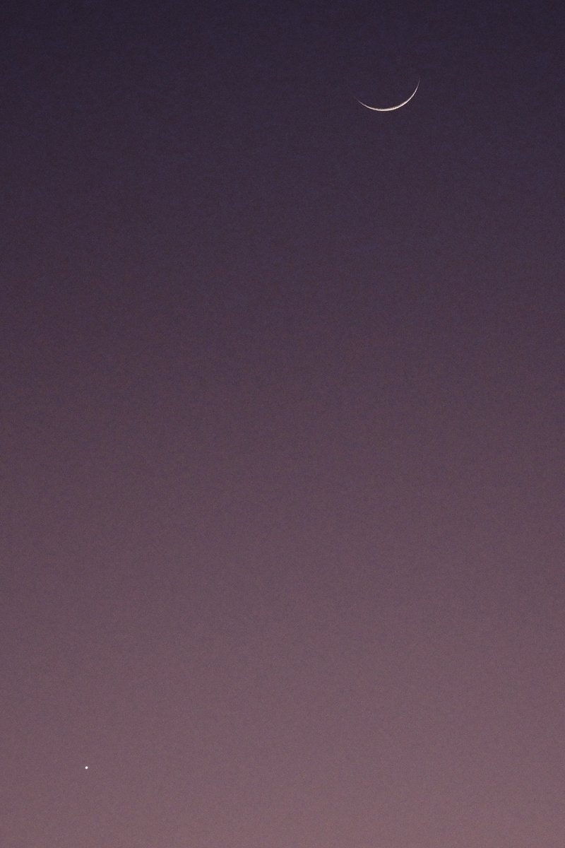 Joe Stalder tweet media