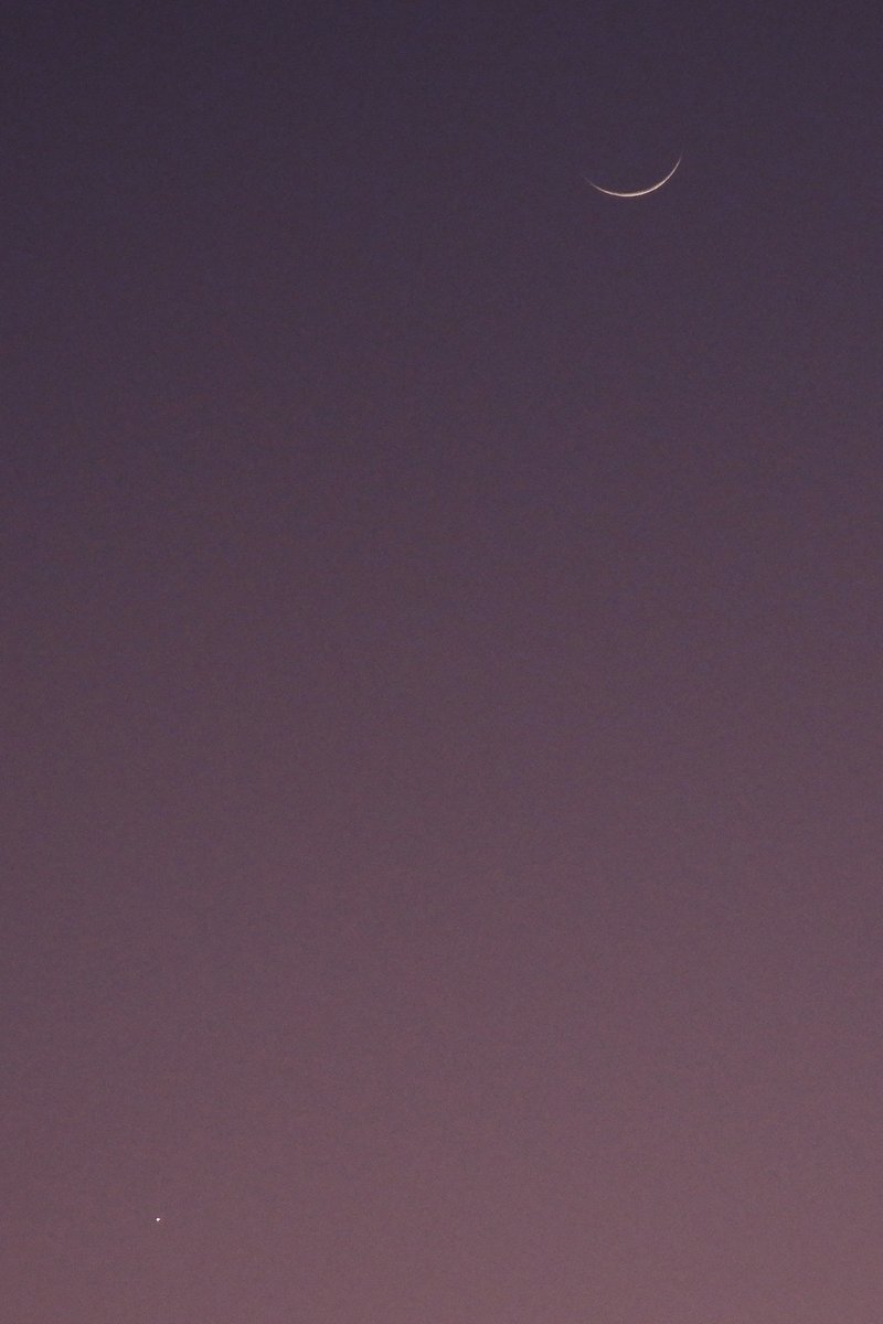 Joe Stalder tweet media