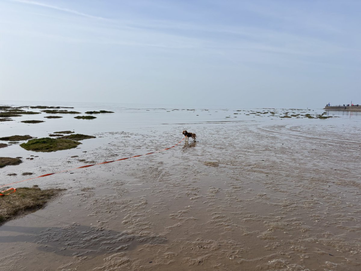 Bentley 🩵 tweet media