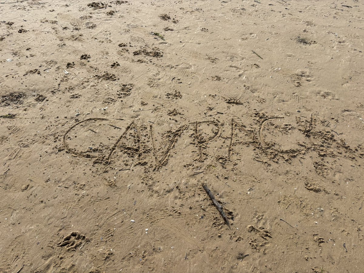 Bentley 🩵 tweet media