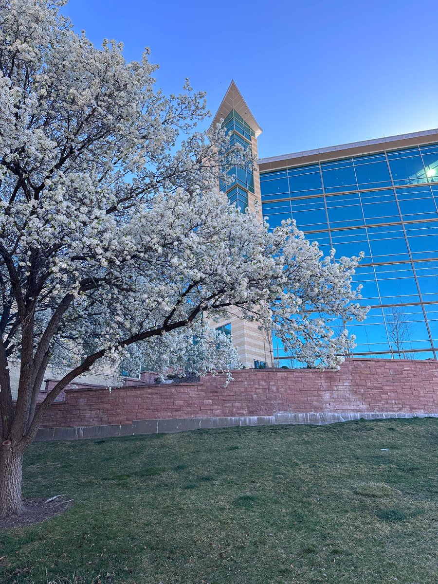 Huntsman Cancer Institute tweet media