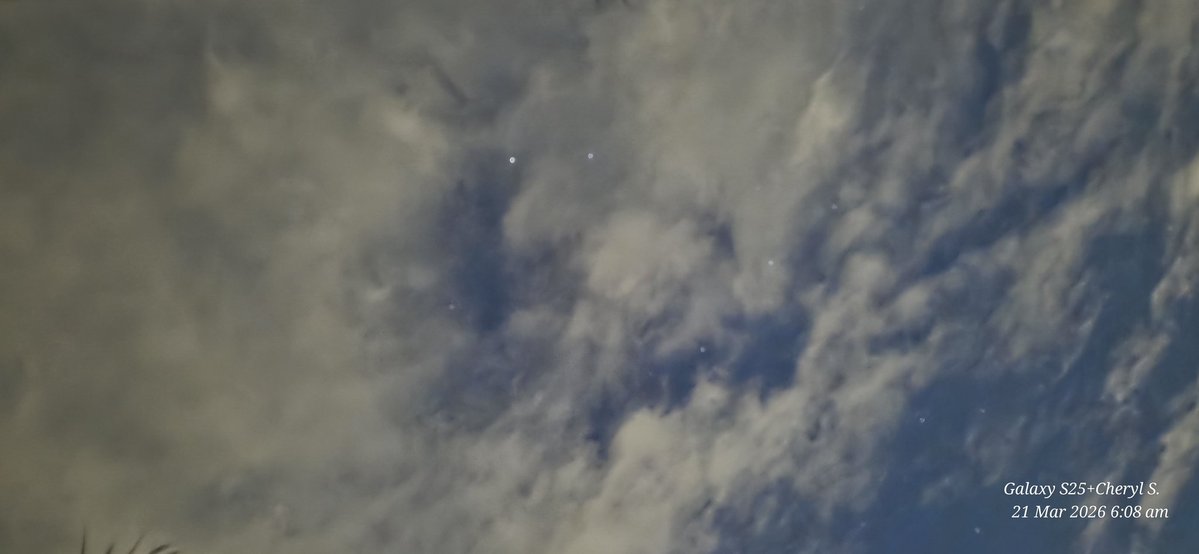 Cheryl Scheffer tweet media