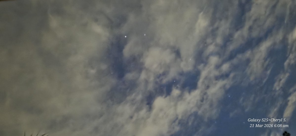 Cheryl Scheffer tweet media