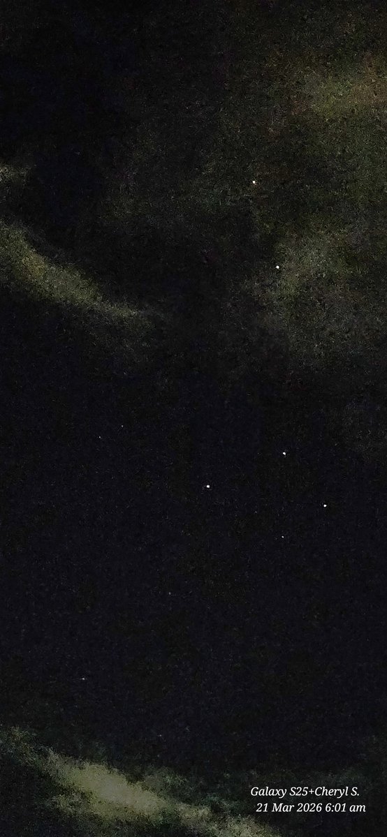 Cheryl Scheffer tweet media