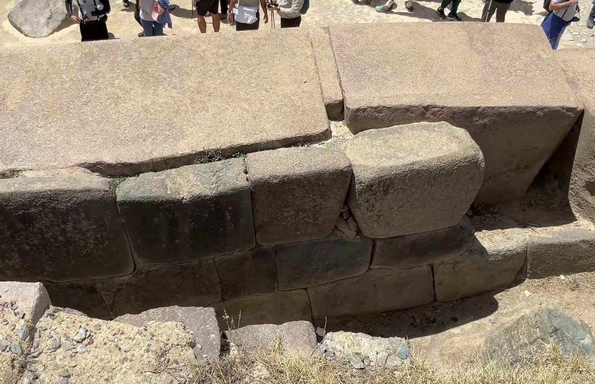 sightseervideo tweet media