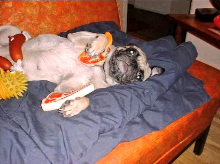 Wendy O'Rourke tweet media