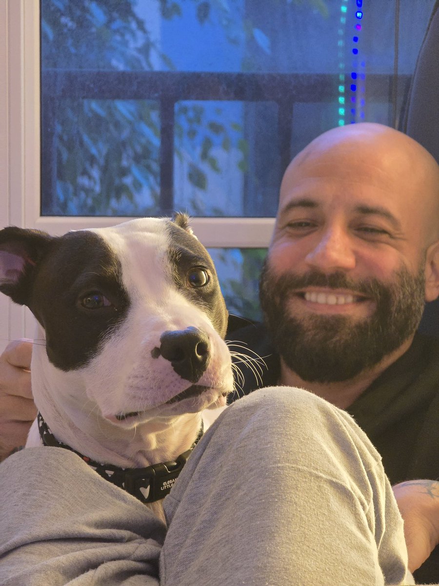 Adrián Rosales tweet media