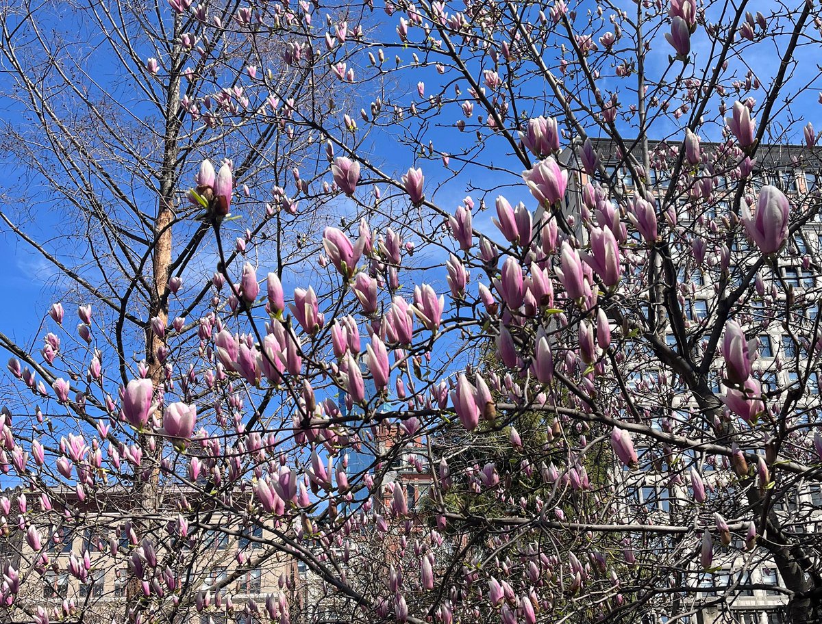 ruhlnyc's tweet image. The R U H L Printemps Candle celebrates Spring with an earthy, woodsy blend of soil, moss, and mushrooms, under an umbrella of Vetiver  

ruhl.nyc/store 

#Printemps #Spring #1stDayofSpring #HappySpring #NewYorkCity #RUHLNYC