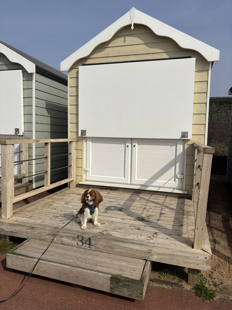 Bentley 🩵 tweet media