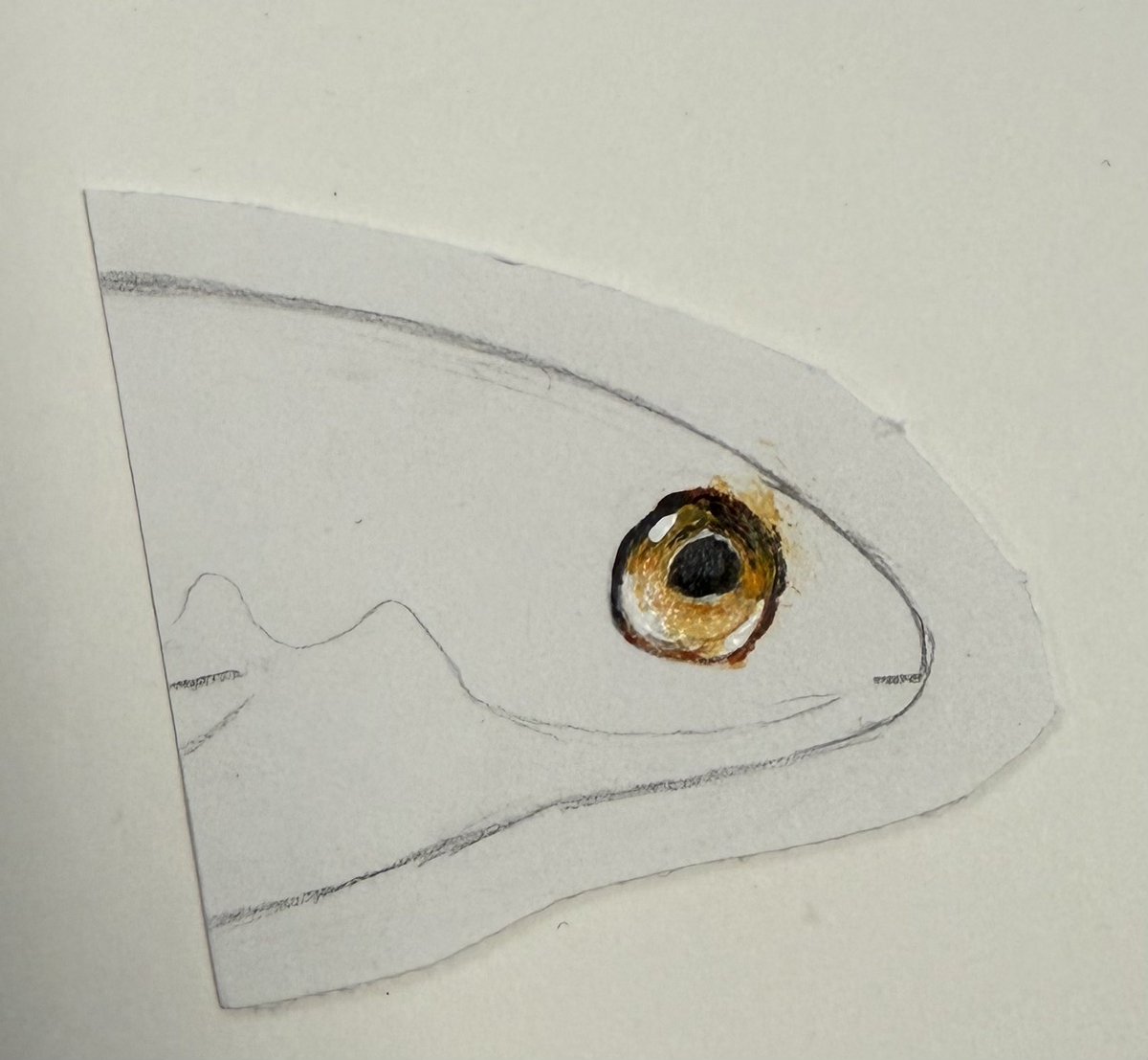 golden kromer tweet media